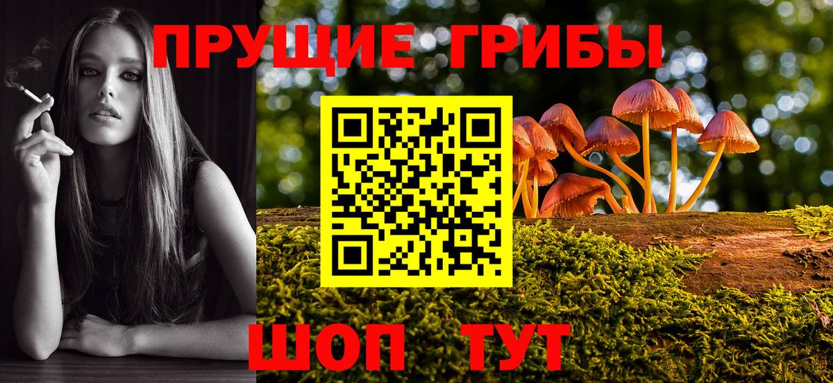 Пятигорск  Галлюциногенные грибы прущие грибы  Галлюциногенные грибы мухоморы  Вход с VPN 